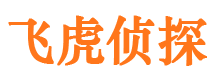 德惠市调查公司